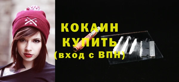 шишки Новокубанск