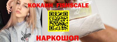 крисы Абакан