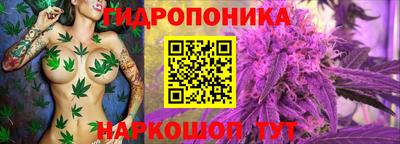 дурь Абинск