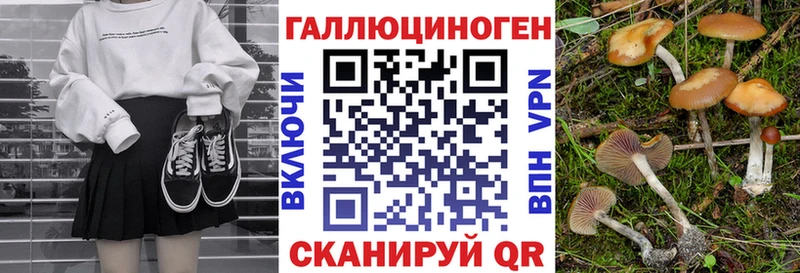 даркнет сайт  Махачкала  Галлюциногенные грибы Psilocybe 