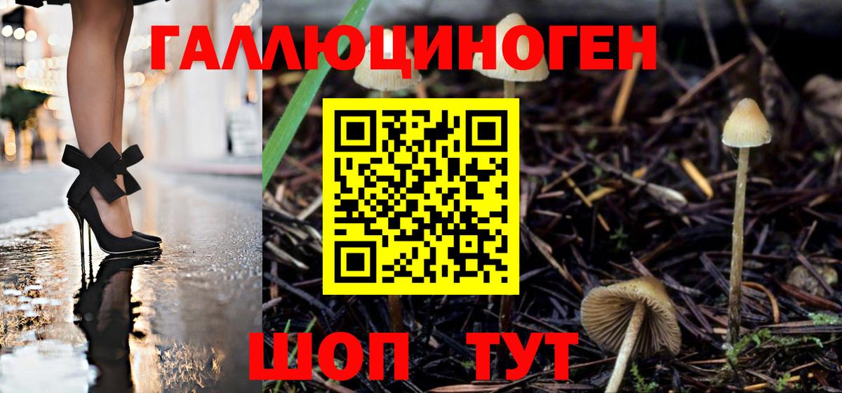 Псилоцибиновые грибы Magic Shrooms  Вход с VPN  Махачкала 