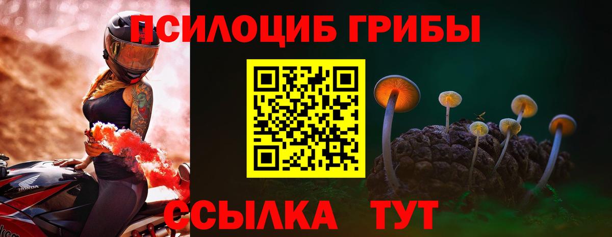 Псилоцибиновые грибы Cubensis  купить наркотик  Махачкала 