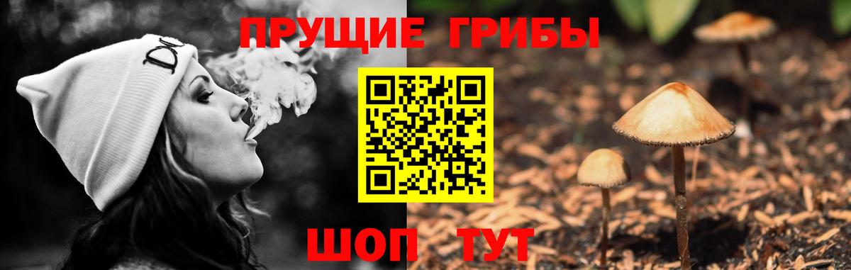 Галлюциногенные грибы GOLDEN TEACHER Махачкала